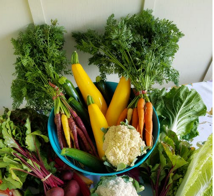 1653267035908416.png 微信截圖_20220523085020.png